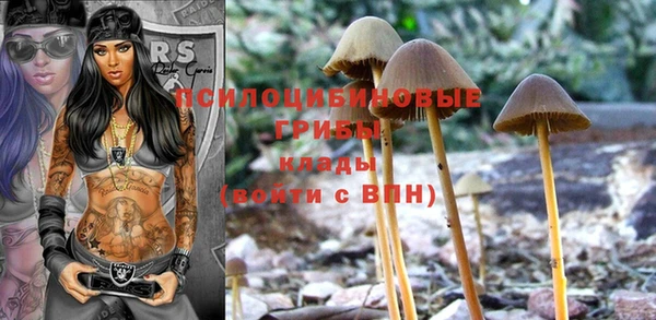 мяу мяу мука Киреевск