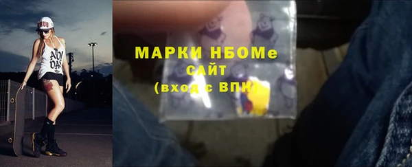 крисы Каменка