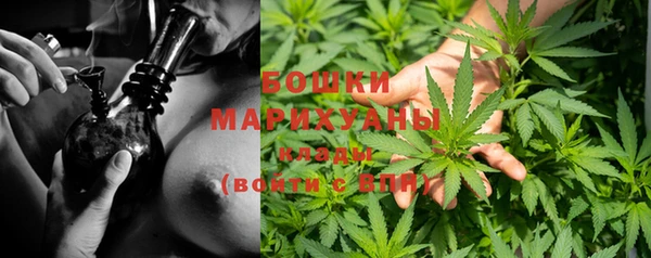 крисы Каменка