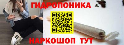 apvp Новозыбков