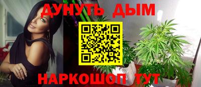 таблы Новокубанск
