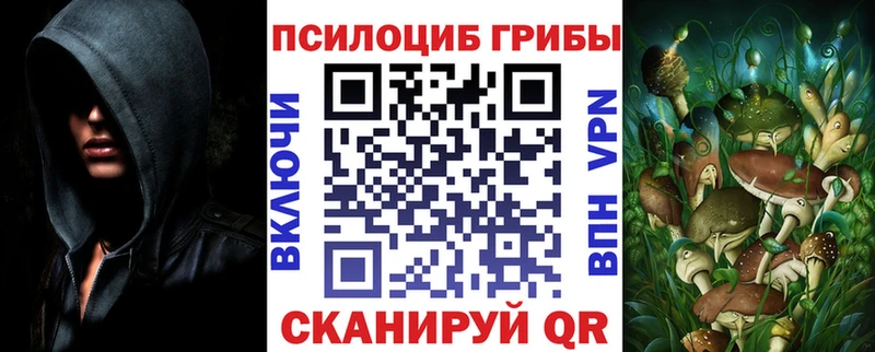 Галлюциногенные грибы Cubensis  цена   Кондопога 