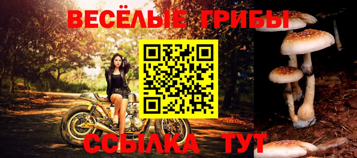 Псилоцибиновые грибы мицелий  Вход с VPN  Кондопога 