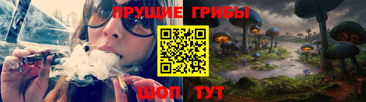 Псилоцибиновые грибы прущие грибы Кондопога